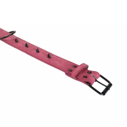 Klasyczna obroża dla psa z 8 ćwiekami rozmiar XL 4xL67cm - 8719138143603