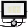 Naświetlacz LED z czujnikiem 50W 6500K 4500lm IP65 wykrywania ruchu - 8433325417451