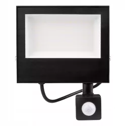 Halogen biały neutralny 5000 lm 50 W-5904703019947