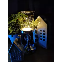 Lampki led świąteczne żyłka 2m kolorowe na baterię 3xLR44 3629-5904703011071