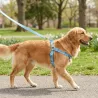Szelki dla psa w Kratkę - Rozmiar M (40-60 cm) - Kolorowe - 8719138146307