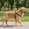 Szelki dla psa - Jednolity kolor - Rozmiar M (Czarny/Zielony/Brązowy) - 8719138146345