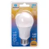 Żarówka okrągła LED A60 E27 18W barwa ciepła biel 3000K jasna 1830lm - 8433325351052