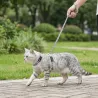 Szelki dla kota ze smyczą w panterkę długość 110 typ H 20–35/25–45cm - 8719138146260