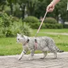 Szelki dla kota ze smyczą gładkie długość 110 typ H 20–35/25–45cm - 8719138146284