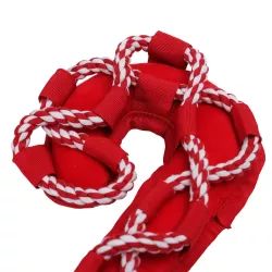 Zabawka dla psa z liny cukrowa laska z frędzlami - 37cm - 8719138144549