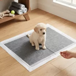 Podkłady Active 10 szt 60x60cm rozmiar M neutralizujące zapach dla psa - 8719138146987