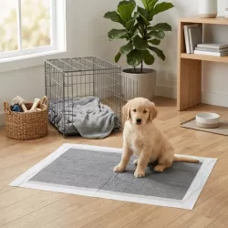 Podkłady Active 10 szt 80x90cm rozmiar XL neutralizujące zapach - 8719138147007
