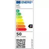 Naświetlacz LED SMD Vega2 przenośny 230V 50W 4500K-5904703032007