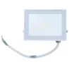 Halogen led naświetlacz lampa 30W 6500K reflektor zewnętrzny biały - 8433325417048