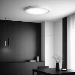 Panel LED 24W Lampa sufitowa plafon 2 w 1 biały neutralny 4000K biały XUDO-5904703008637