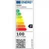 Naświetlacz LED SMD Mola2 przenośny 230V 100W 4500 - 5904703032793